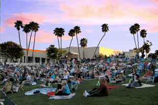 people sitting on the grass for a concert