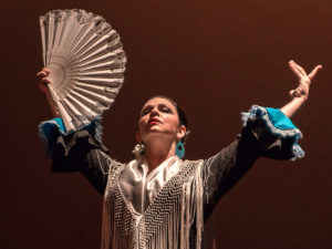 Flamenco Dance Performance