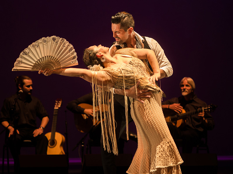 flamenco, music and dance